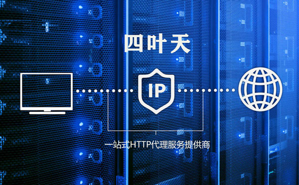 【文山代理IP】代理IP的主要用途和使用注意事项